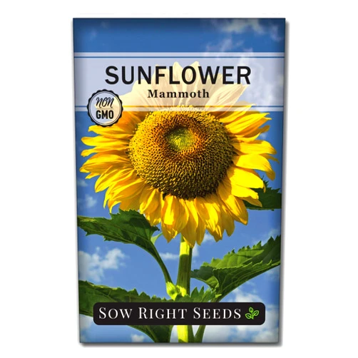Sow Right Seeds - Mammoth Sunflower Seeds to Plant - Grow Giant Sunflowers in Your Garden - Non-GMO Heirloom Seeds for Planting an Outdoor Garden - Bright Yellow Blooms - Attract Bees and Birds (1)
