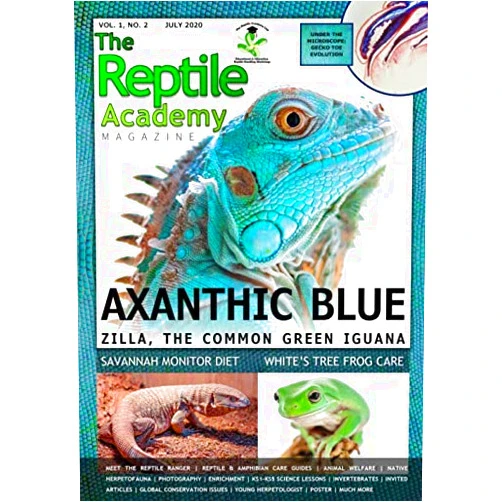 Jake Weeks AMRSB,Connor Tyler AMRSB,Gary Weeks,Connor Whelan,Asia Hoile,Katie Porter,Curtis Kenneavy,Jonathan Rheins,Rosie Hopkins,Dr. Sonya Miles MRCVS The Reptile Academy Magazine (The Reptile Academy Magazine Volume 1 (May 2020 - April 2021))