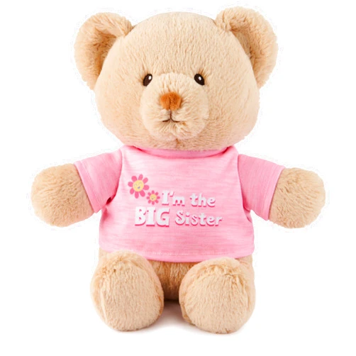 GUND “I'm the Big Sister” Sustainable Message Bear with Pink T-Shirt, Teddy Bear Made from 100% Recycled Materials for Ages 1 and Up, Tan, 12”