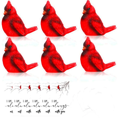 Roowest 36 Pcs Memorial Cardinal Gift Set Include Red Cardinal Bird Statue Figures and Red Feathered Cards and Bags for Sympathy Memorial Gift