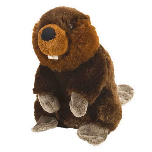 Wild Republic Beaver Plush, Stuffed Animal, Plush Toy, Gifts for Kids, Cuddlekins 8 Inches,Multi