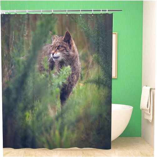 Awowee Bathroom Shower Curtain Green Animal Scottish Wildcat in The Undergrowth Beauty Britain Polyester Fabric 60x72 inches Waterproof Bath Curtain Set with Hooks