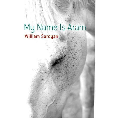 WIlliam Saroyan My Name Is Aram (Dover Literature: Short Stories)