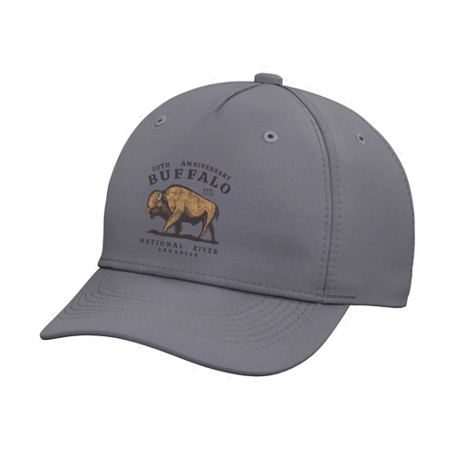 Take Me To The Buffalo River 50th Anniversary Buffalo National River Arkansas Vintage Adjustable Baseball Hat
