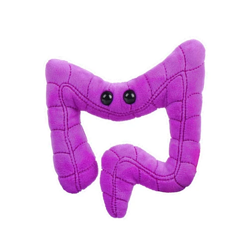 GIANT MICROBES GIANTmicrobes Colon Plush, Colonoscopy Gifts, Funny Colon Gifts, Colon Cancer Gifts, Gastroenterology Gifts, Colorectal Cancer Awareness, Gastroenterologist Gifts, Guts Plush Toy, Endoscopy Gifts