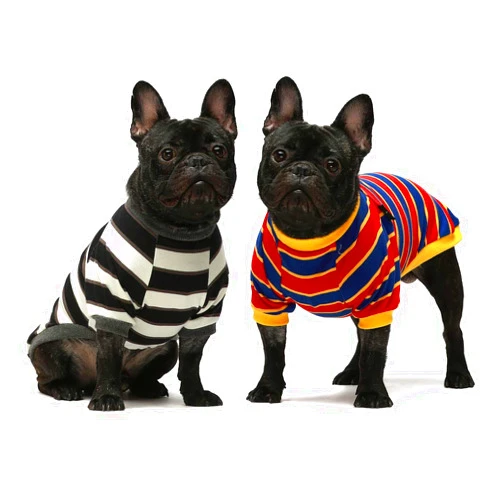 Fitwarm 2 Pack Striped Dog Shirt, Summer Dog Clothes for Small Dogs Boy, Breathable Pet Tshirt, Stretchy Cat Outfit, 101% Cotton, Black and White, Royal Blue and Yellow, Small