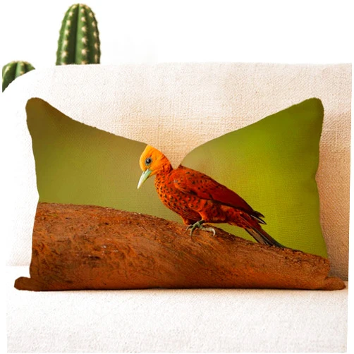 Mlumamme Decorative Square Throw Pillow Covers 12x20 Inch for Living Room Couch Bed Sofa Home, Mossy Chestnutcoloured Woodpecker South Celeus Castaneus Acorn Brawn Bird Nature Design Species Cushion Case