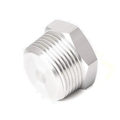 Joywayus Stainless Steel Outer Hex Thread Socket Pipe Plug Fitting 1