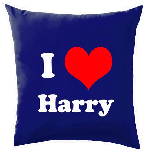 Dressdown I Love Harry - Cushion/Pillow (with Insert) - 41 x 41cm (16)