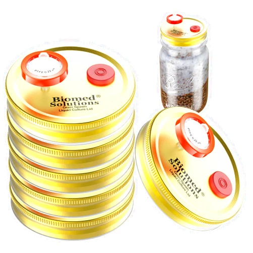 Biomed Solutions 6Pcs Wide Mouth Mushroom Liquid Culture Lid Grain Spawn Cultivation Mason Jar Lid with 0.2 micron PTFE Syringe Filter & 20mm Self Healing Injection Ports For Mushroom Growing Mycology(Golden)