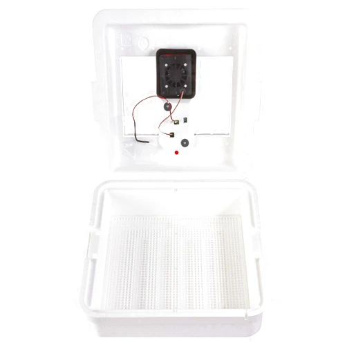 Little Giant® Digital Still Air Incubator | 41 Eggs | Egg Incubator with Temperature and Humidity Control | Chick Incubator