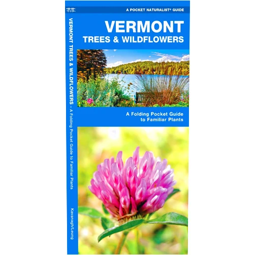 James Kavanagh Waterford Press,Waterford Press Waterford Press,Leung Raymond Leung Raymond Vermont Trees & Wildflowers: A Folding Pocket Guide to Familiar Plants (Wildlife and Nature Identification)
