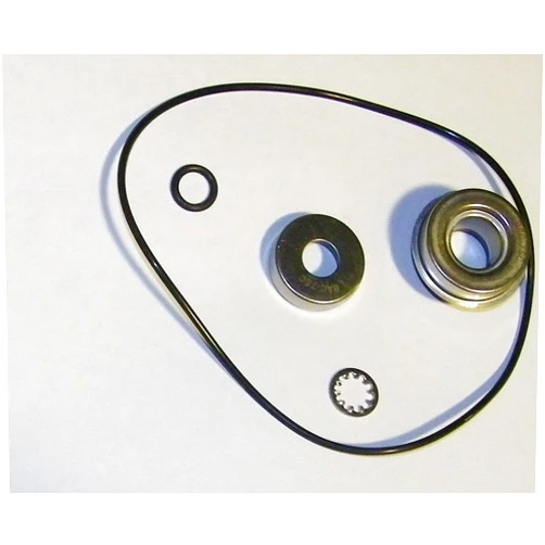 Ace Pumps Repair Kit for 200 Series Motor (41374)