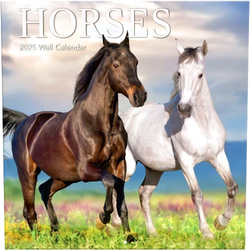 Turner Licensing TURNER PHOTOGRAPHIC Horses 12x12 Photo Wall Calendar (25998940025)