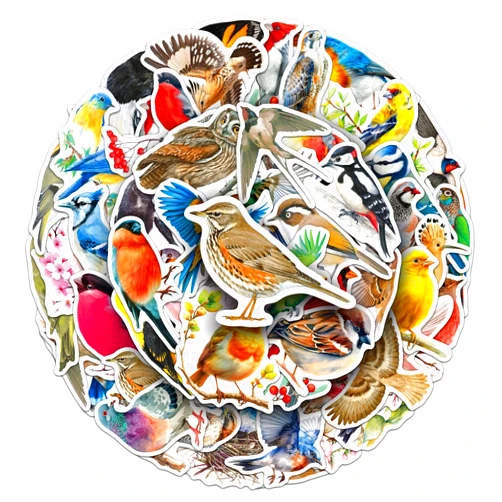 MTFXJFYH 50Pcs Bird Stickers Including Common and Rare Species, Suitable for Nature Diaries, Bird Watching Records, Study Notes, Travel Accounts, and Students' Education Materials (Bird)