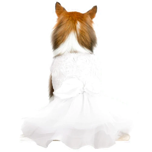 QBLEEV Dog Dress Tutu Skirt for Medium Girl Dogs Puppy，Sweet Dog White Princess Dresses with Bowknot and Rose Decor,Pet Lace Costume Summer Apparel Formal Clothes for Wedding Party Holiday, M