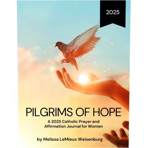 By Melissa LeMieux Weisenburg (Author) Pilgrims of Hope: A 2025 Catholic Prayer and Affirmation Journal for Women to Deepen Your Faith During the Jubilee Year