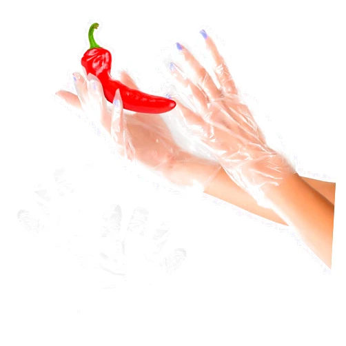 ABC PACK & SUPPLY Clear Disposable Poly Gloves XL, Plastic Gloves Disposable, Waterproof 1 Mil PE Food Service Gloves