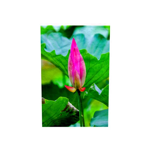3dRose 15x22 Hand Towel - Pink Lotus Bud, Temple of The Sun, Beijing, China Flowers