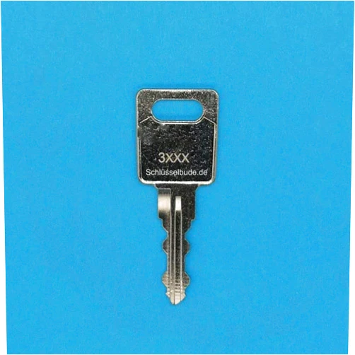 SCHLUESSELBUDE.DE SB Replacement Key for Older Jetbag and Thule Roof Boxes, Ski Boxes, Compatible with Car, Van