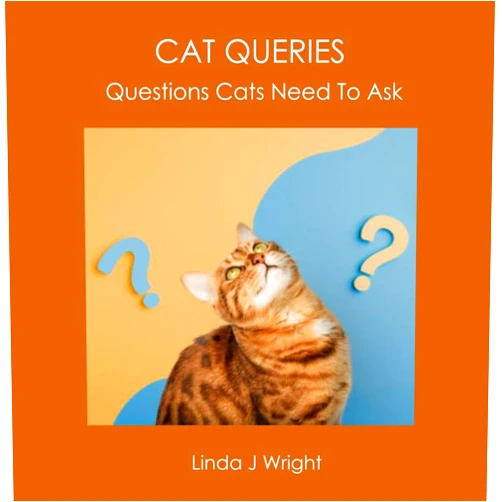 Linda J Wright CAT QUERIES: Questions Cats Need To Ask