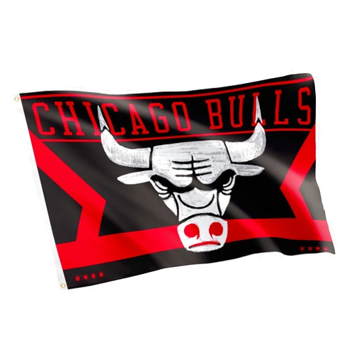 Desert Cactus Chicago Bulls Flag NBA 100% Polyester Indoor Outdoor 3x5 feet National Basketball Association Team Flags (Flag City Edition 2023 B)