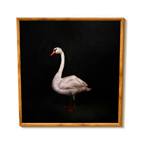 DECORRECOR Moody Decor, Framed Black and White Wall Art for Home Wall Decor, Canvas Painting Wall Art for Bedroom, (Still Life: Swan, 16x16 Inch)