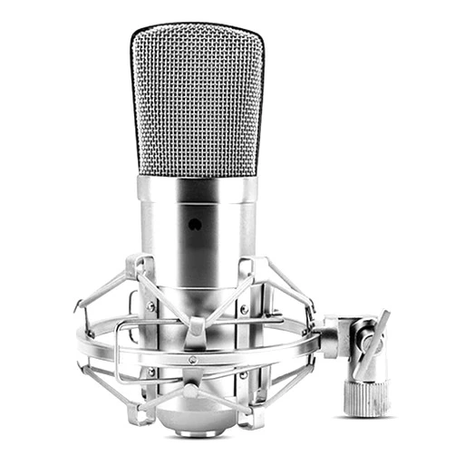 HGFSGGGREEHY BM800 Large-Diaphragm Recording Microphone Singing Anchor Live Condenser Microphone