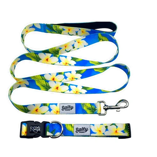 Shaka's Salty Paws Blue Floral Print Dog Collar and Leash Matching Set for Medium Size Dogs. Hawaiian Floral Print Dog Leash and Collar Set. Cool Dog Collar & Leash for Dogs 25-50 lbs.