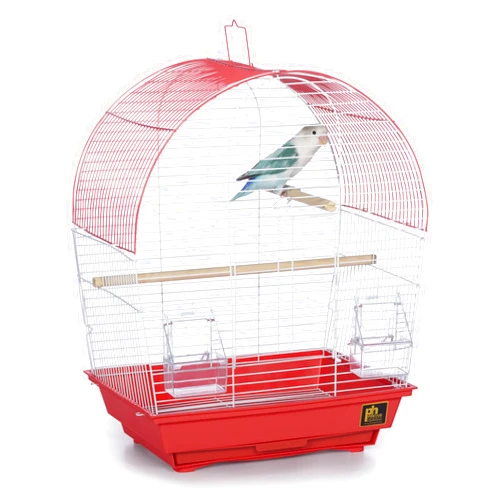 PH Prevue Hendryx Prevue Pet Products South Beach Dome Top Bird Cage, Coral (SP50100)