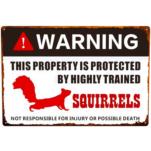 Kirmada Protected by Squirrels Warning Sign vintage metal signs bathroom signs decor funny bar signs for home bar wall art 8x12 Inches