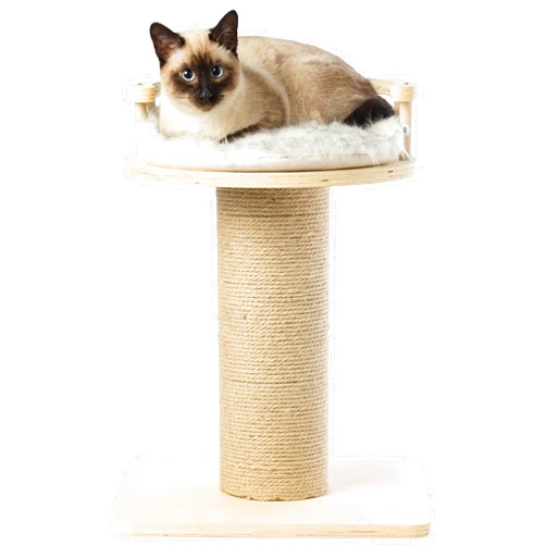 PawsMark Wooden Cat Sisal Scratching Post Tree Tower with Seat Pet Bed Lounge