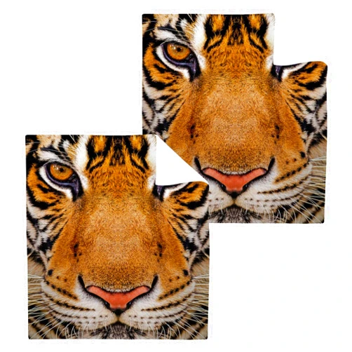ALAZA Amur Tiger Animal Face Towels Cotton Washcloths Set,Soft Absorbent Quick Dry Face Cloths,Multi-Purpose Fingertip Towels for Bathroom,Hotel,Travel,12'' x 12'' (2 Pack)