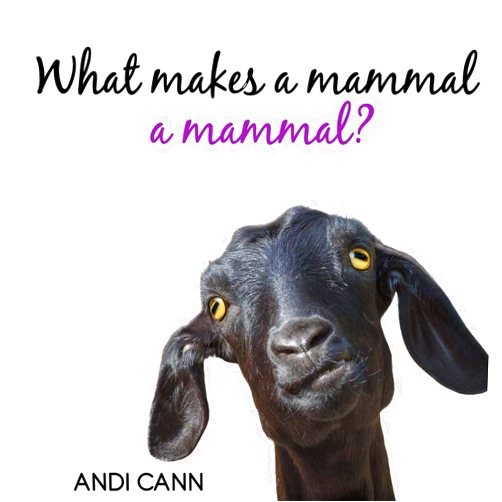 By Andi Cann (Author) What Makes a Mammal a Mammal? (Animal Classes)