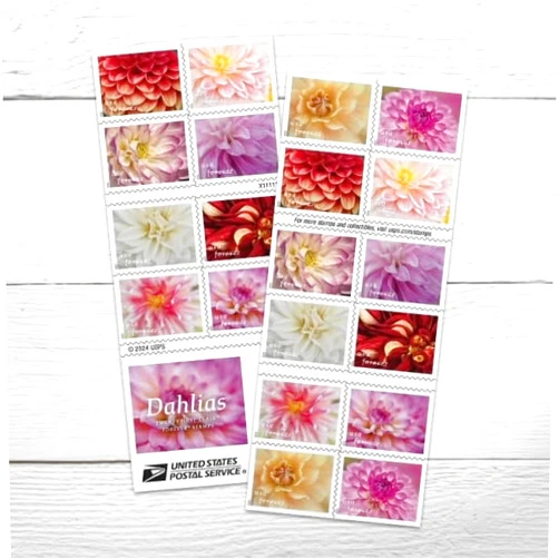United States Postal Service Dahlias 2025 (Book of 20) First-Class Mail Forever Postage Stamps