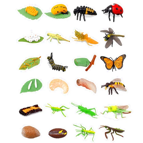 Odowalker 24PCS Life Cycle Figures,Insect Figurines Life Cycle of Monarch Butterfly,Honey Bee,Ladybug,Praying Mantis,Dragonfly,Grasshopper Bug Figures Kits