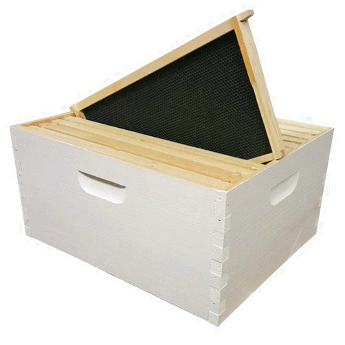 Busy Bees 'N' More Amish Made in USA Painted and Assembled Langstroth 10 Frame Deep/Brood Box w/Frames and Foundations
