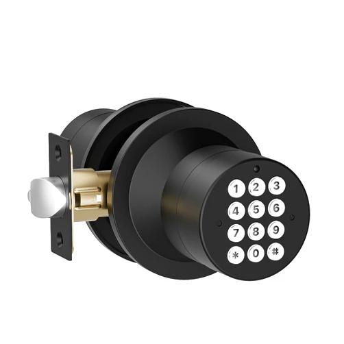 HIDALIFE Door Knob with Keypad, Door Knob with Lock, Door Lock with Code, Keyless Entry Door Lock for Front Door Garage Home Apartment, Matte Black