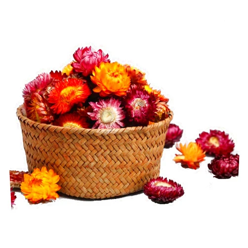 MOORCHOCO Natural Dried Daisy Flowers Heads - 55~60 Pcs Gerbera Daisies Real Sunflowers Chrysanthemum, Dry Flower Arrangements for Wedding Decor, Home Party Decoration and DIY Craft (Multi Colors)