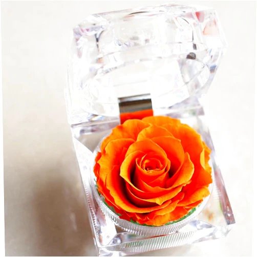 BESTonZON 1Pcs Preserved Eternity Rose Never Withered Rose for Valentines Day Birthday and Anniversary with Drawer Box (Orange)