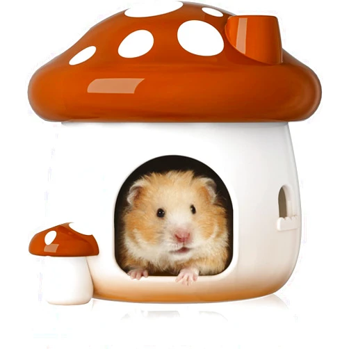 BUCATSTATE Hamster Hideout Ceramic, Mushroom Shape Hamster House and Habitats Cool Bed Ideal for All Season Dwarf Hamster Gerbil Mice Golden Bear (Brown-Large)