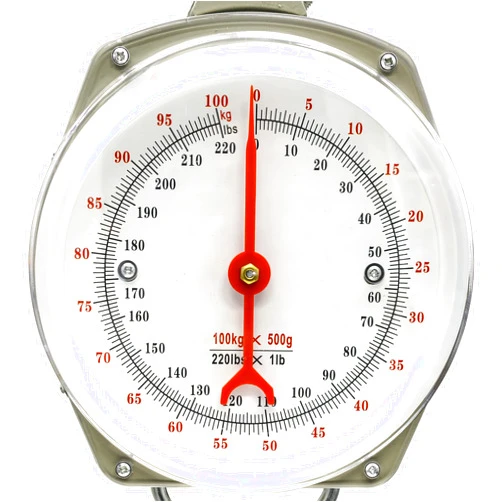 Eyes.sys Hanging Spring Dial Scale 220lb/100kg Big Game Scale，Hanging Scale with 2 S-Hooks for Kitchen Fishing Hunting (Easy to Read Dial)