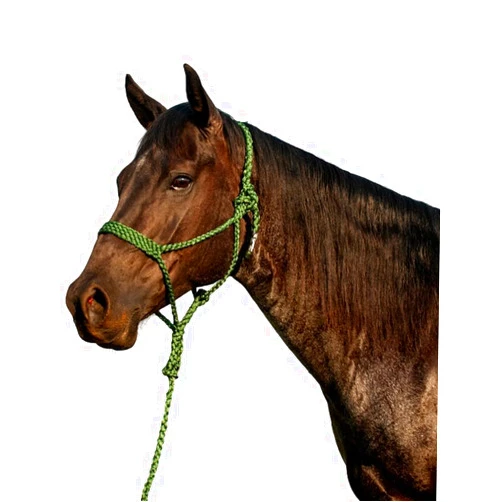 Cashel Flat Braid Halter and Leadrope