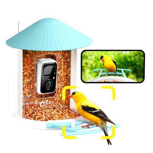 NETVUE by Birdfy AI Smart Bird Feeder with Camera, AI Auto Capture Each Bird Come & Identify 6000+ Bird Species, Cloud Store Bird Videos & Birdwatching On Live, Ideal Gift for Bird Lover (Blue)