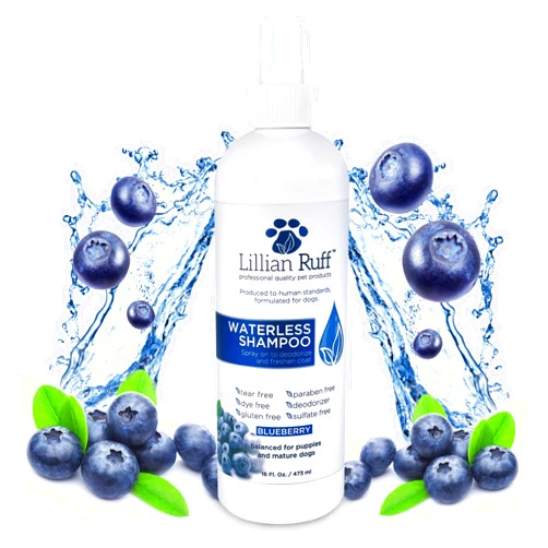 Lillian Ruff Waterless No-Rinse Dog Dry Shampoo Spray with Hydrating Essential Oils - pH-Balanced Dry Shampoo for Dogs - Clean, Condition, Detangle & Deodorize Dry, Sensitive Skin (Blueberry)