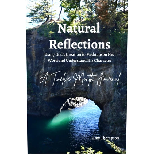 Amy Thompson Natural Reflections: Using God's Creation to Meditate on His Word and Understand His Character