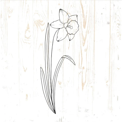 Generic March Daffodils Minimalist Birth Month Wildflowers Wall Decals - Wildflowers Wall Stickers - Floral Botanical Field Plants - Wall Decor for Girls Room Bedroom Cars Laptop DWSV13462