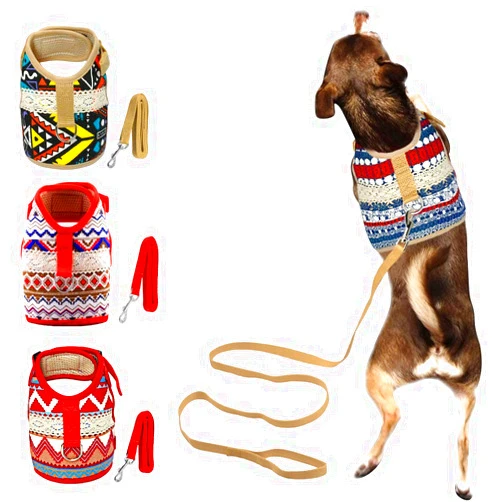 Muttitude Dog Harness & Leash Set for Small Breeds (Medium, Goa)