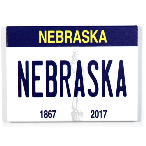 World By Shotglass Nebraska License Plate Fridge Collector's Souvenir Magnet 2.5