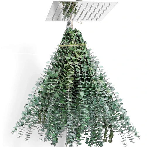 FAVOWREATH 30 Pcs Eucalyptus for Shower Hanging Dried Eucalyptus Stems 17